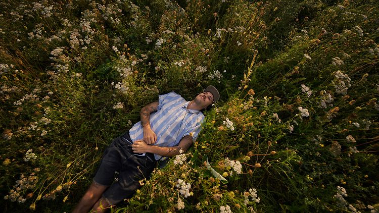  Mann liegt auf einer wilden Blumenwiese