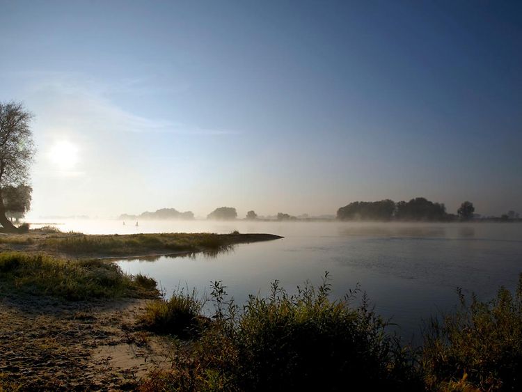  UNESCO-Biosphärenreservat Flusslandschaft Elbe