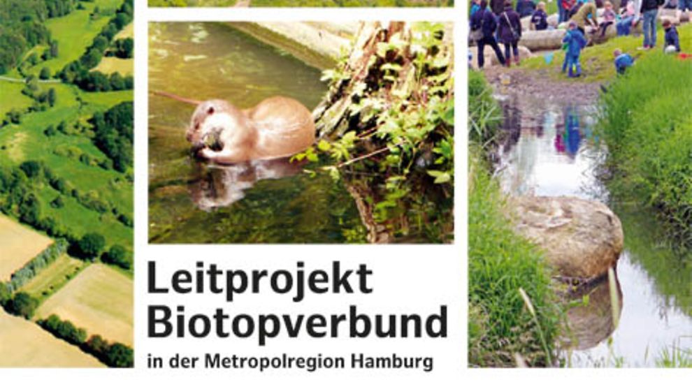  Ergebnisbroschüre Leitprojekt Biotopverbund