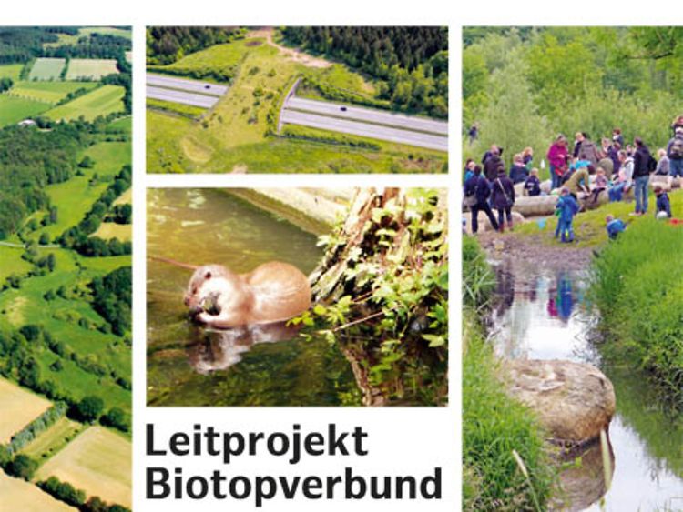  Ergebnisbroschüre Leitprojekt Biotopverbund