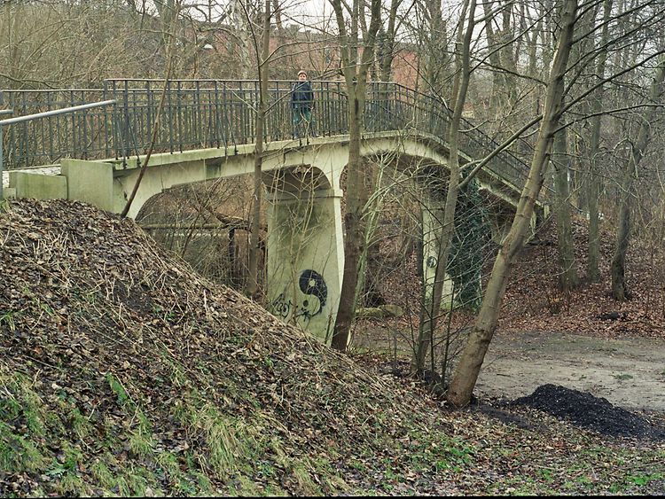  Kamelbrücke und Kleinbahndamm Ratzeburg