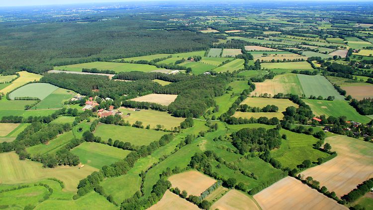  Wald, Felder und Knicks in Schleswig-Holstein