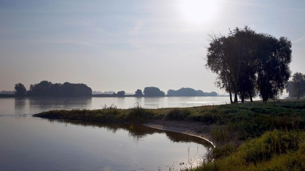  Biosphärenreservat Flusslandschaft Elbe
