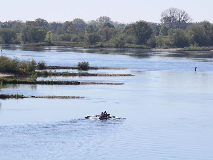  Eine Boot mit Personen darauf fährt auf dem Wasser der Elbe. Buhnen ragen in das Wasser hinein.