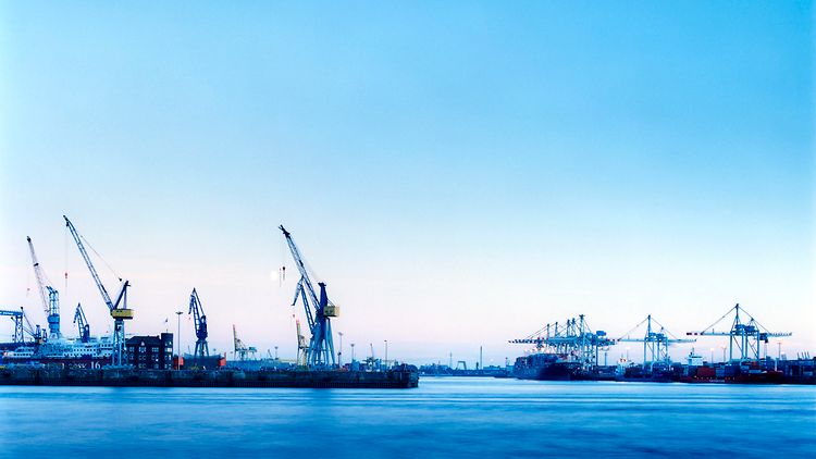 Abendstimmung zur blauen Stunde: Kräne im Hamburger Hafen